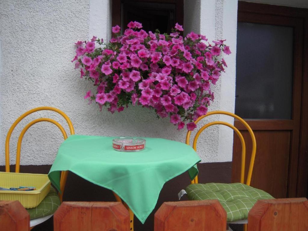 Apartmaji In Sobe Cuder Soča Екстериор снимка